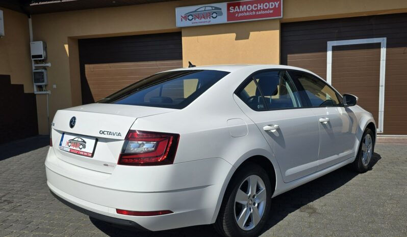 Škoda Octavia Ambition+Pakiety 1.6 TDI 115KM Salon Polska Serwis Nowy rozrząd FV 23% full